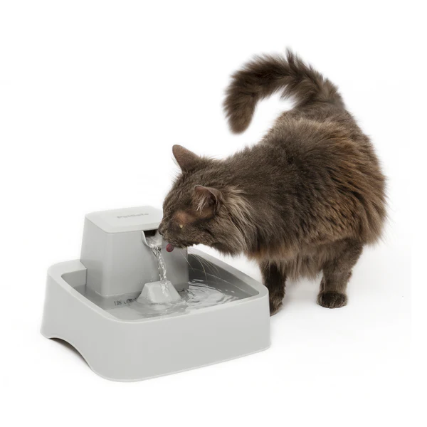 National Love Your Pet Day Gift Guide