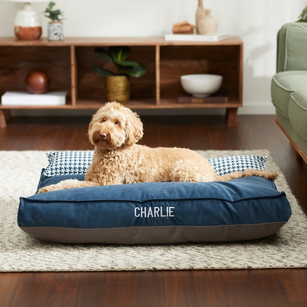 National Love Your Pet Day Gift Guide