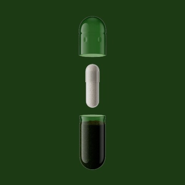 Pendulum Next-Generation Probiotics vs. Seed Probiotics: Where These Probiotics Take Different Paths 6 Pendulum Next-Generation Probiotics vs. Seed Probiotics: Where These Probiotics Take Different Paths