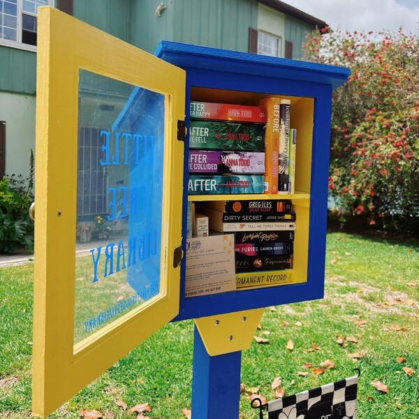 Thriftbooks vs Abebooks: What Readers Should Know Before Choosing