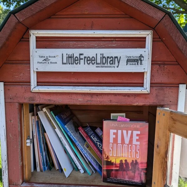 Thriftbooks vs Abebooks: What Readers Should Know Before Choosing