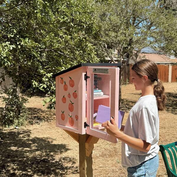 Thriftbooks vs Abebooks: What Readers Should Know Before Choosing