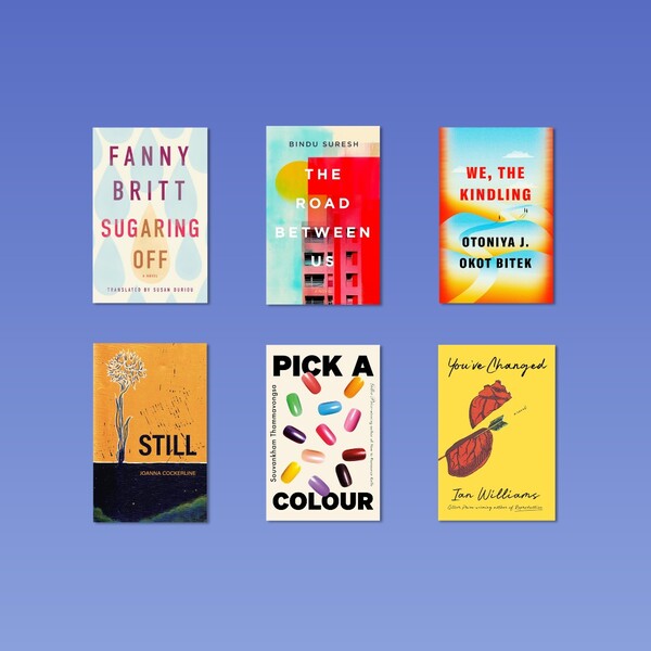 Thriftbooks vs Abebooks: What Readers Should Know Before Choosing