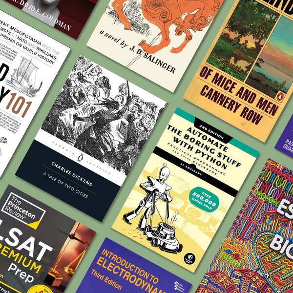 Thriftbooks vs Abebooks: What Readers Should Know Before Choosing