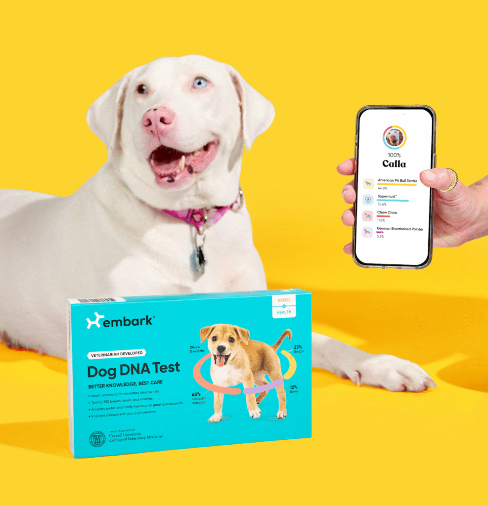 Embark Dog DNA Test Review