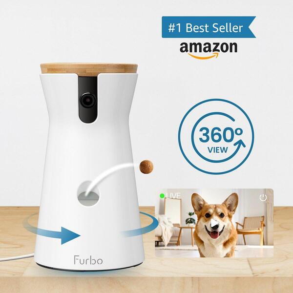 10 Best Gifts for Dog Owners
