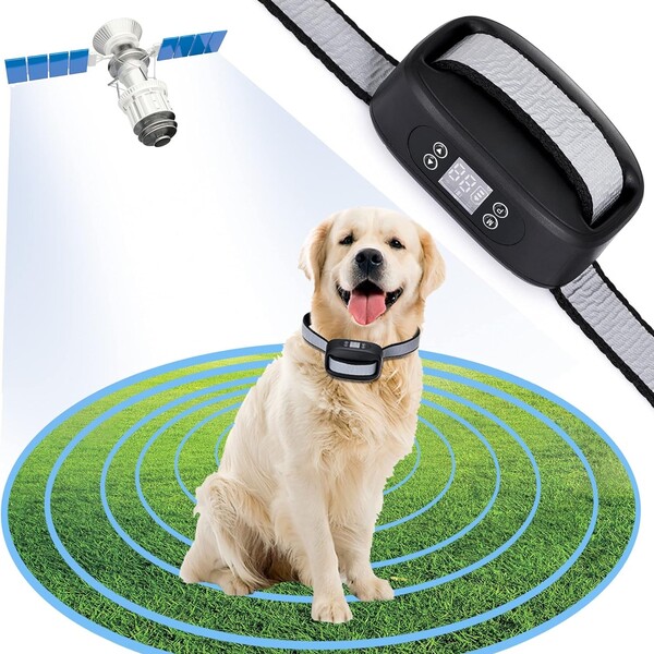 The Best Invisible Dog Fence