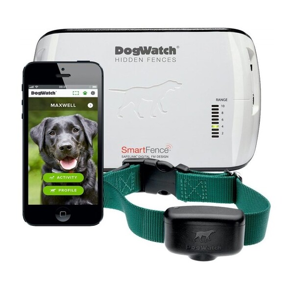 The Best Invisible Dog Fence