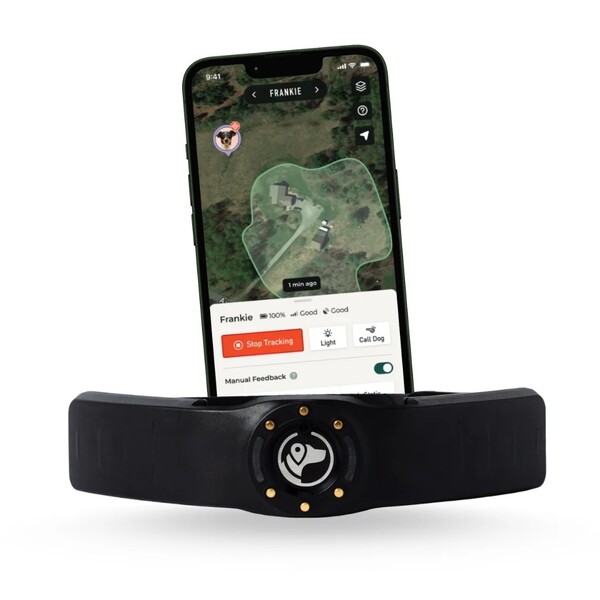 The Best Invisible Dog Fence