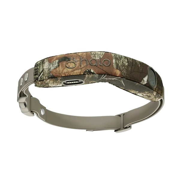 Halo Collar 5 Review: Is It Worth It for Dog Owners?