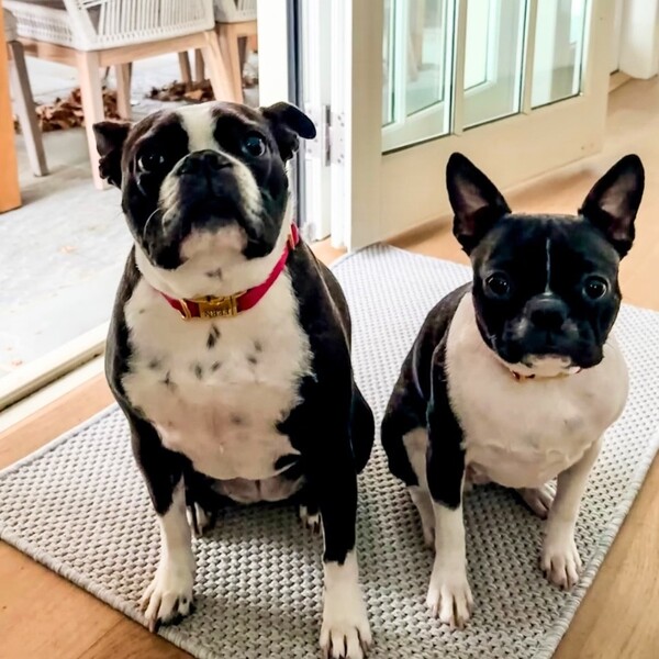 Porte + Hall Mats Review