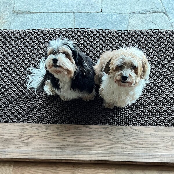 Porte + Hall Mats Review