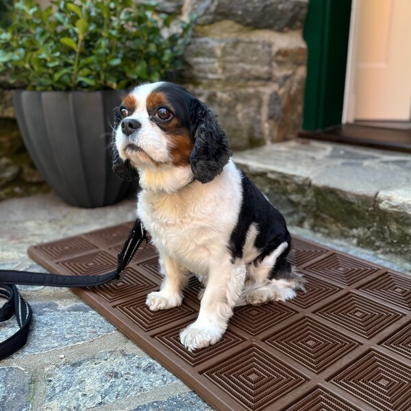 Porte + Hall Mats Review