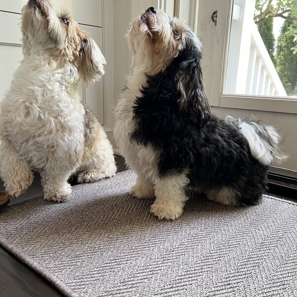 Porte + Hall Mats Review