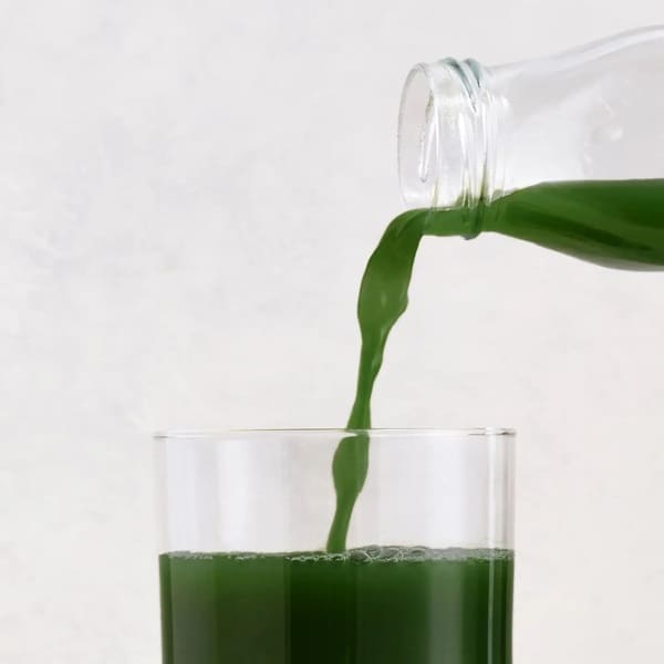 Quince Daily Superfood Greens Review: Can Their Greens Powder Hold Up? 3 Quince Daily Superfood Greens Review: Can Their Greens Powder Hold Up?