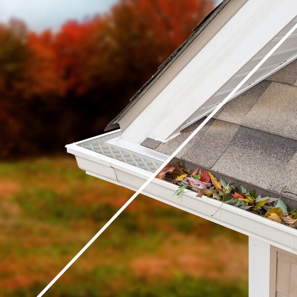 10 Best Leaf Guards for Gutters to Stop Leaves and Pine Needles in 2026