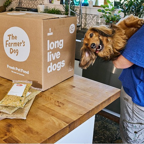 Celebrate National Dog Day in Good Health: 10 Ways to Support Your Dog’s Well-Being