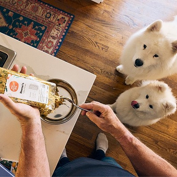 10 Best Fresh Dog Food Brands of 2026: Top Picks for Different Dogs