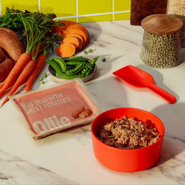 10 Best Fresh and Premium Dog Food Brands of 2026: Top Picks for Different Dogs
