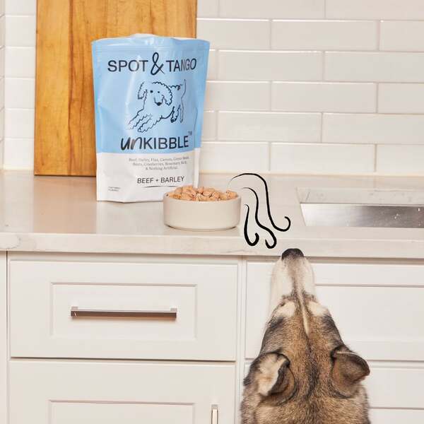 10 Best Fresh Dog Food Delivery Services: Top Picks for Every Budget 5 10 Best Fresh Dog Food Delivery Services