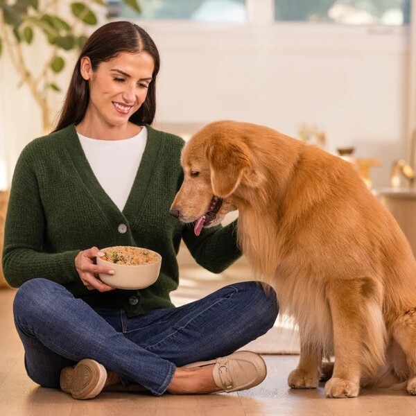 10 Best Fresh Dog Food Delivery Services: Top Picks for Every Budget 6 10 Best Fresh Dog Food Delivery Services