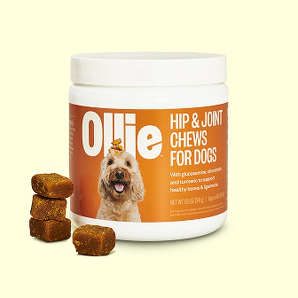 10 Best Gifts for Health-Conscious Dog Owners in 2026 2 10 Best Gifts for Health-Conscious Dog Owners in 2026