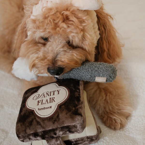 10 Best Gifts for Health-Conscious Dog Owners in 2026 6 10 Best Gifts for Health-Conscious Dog Owners in 2026