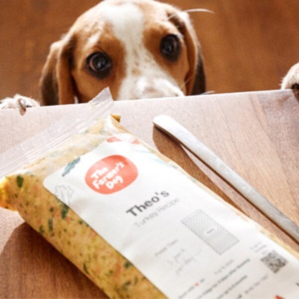 10 Best Dog Food Brands: Healthy Choices for Your Best Friend