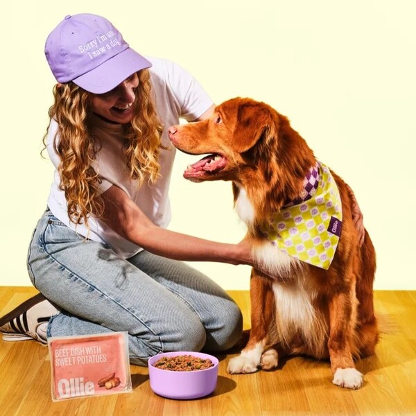 10 Best Dog Food Brands: Healthy Choices for Your Best Friend 2 10 Best Dog Food Brands
