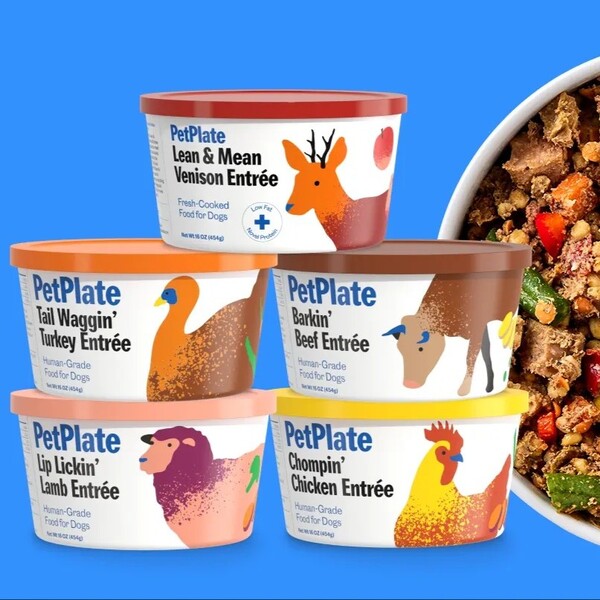 10 Best Dog Food Brands: Healthy Choices for Your Best Friend 6 10 Best Dog Food Brands