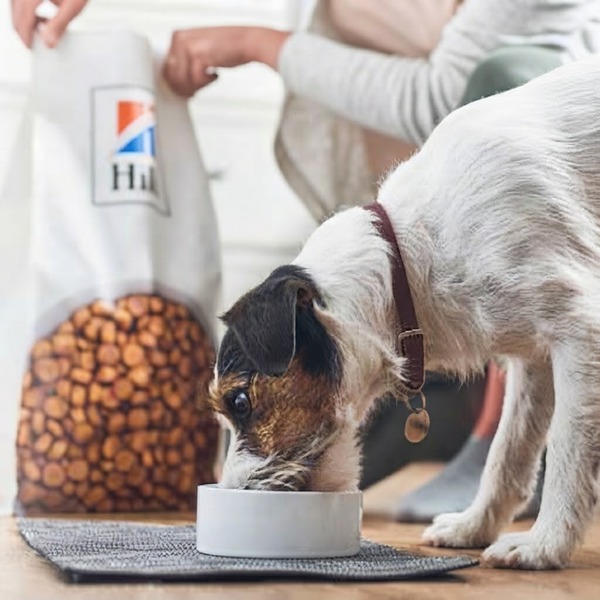 10 Best Dog Food Brands: Healthy Choices for Your Best Friend 8 10 Best Dog Food Brands