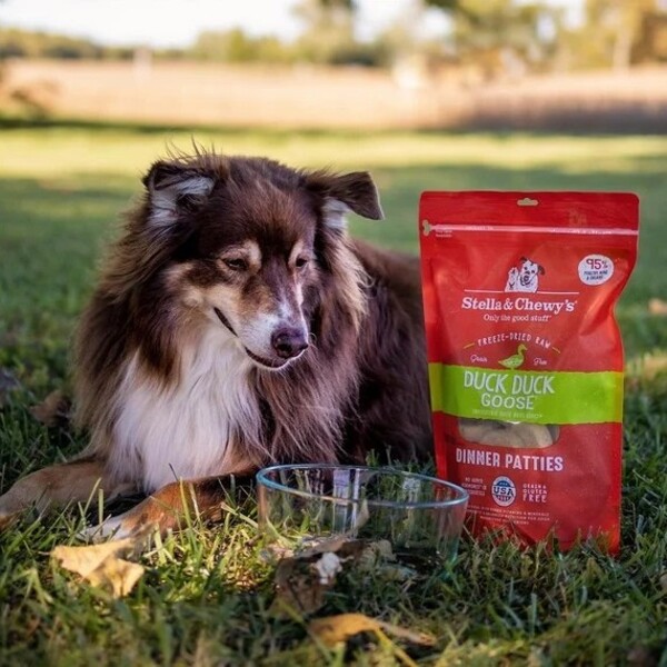 10 Best Dog Food Brands: Healthy Choices for Your Best Friend 9 10 Best Dog Food Brands