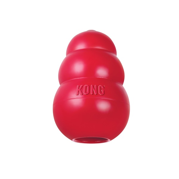 10 Best Gifts for New Dog Parents in 2026 10 10 Best Gifts for New Dog Parents