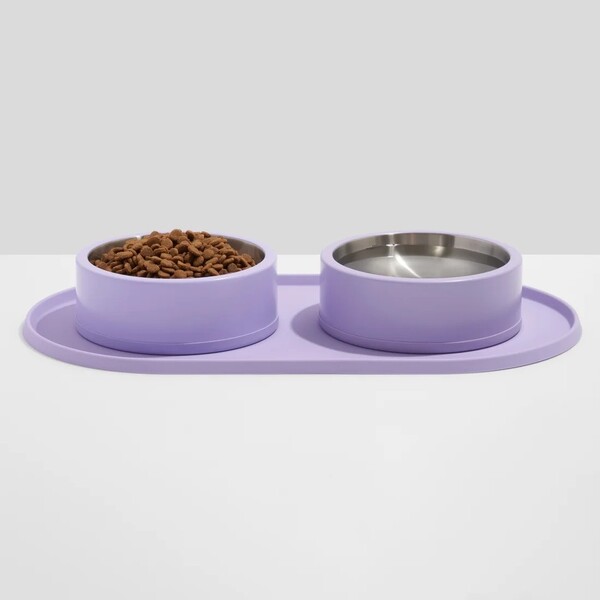10 Best Gifts for New Dog Parents in 2026 4 10 Best Gifts for New Dog Parents