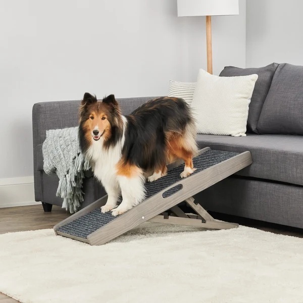 10 Best Gifts for New Dog Parents in 2026 9 10 Best Gifts for New Dog Parents