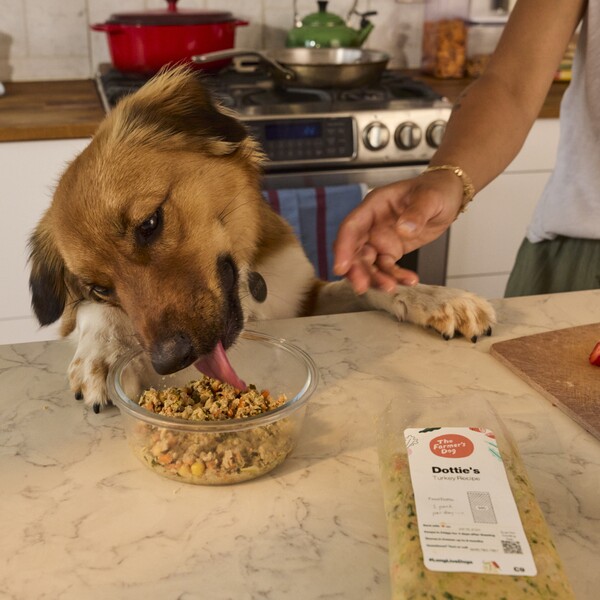 The Farmer's Dog Review 2026: Is Freshly Made Dog Food Worth the Switch?