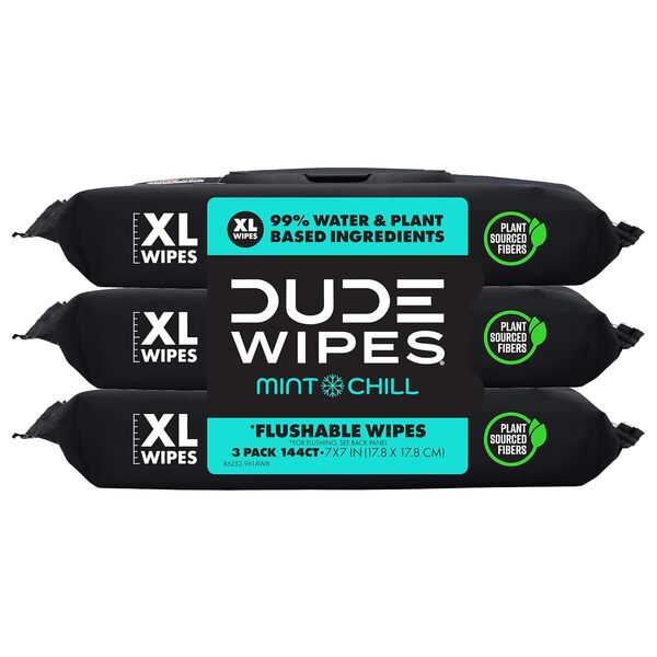 Dude Wipes Review: Which Flushable Wipes Should You Stock Up On for Prime Big Deal Days? 5 Dude Wipes Review: Which Flushable Wipes Should You Stock Up On for Prime Big Deal Days?