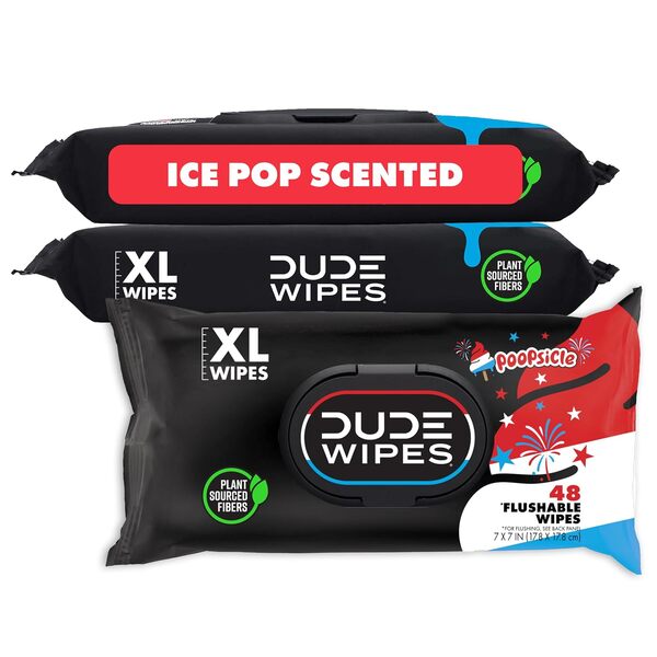 Dude Wipes Review: Which Flushable Wipes Should You Stock Up On for Prime Big Deal Days? 9 Dude Wipes Review: Which Flushable Wipes Should You Stock Up On for Prime Big Deal Days?