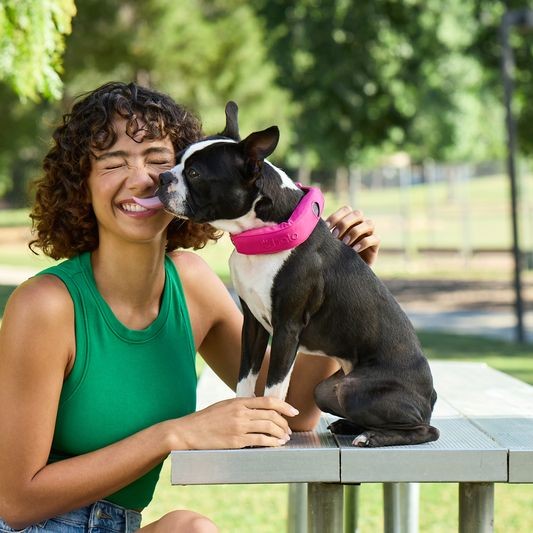 Halo Collar Precision+ Review: What a Two-Foot GPS Dog Fence Changes 8 Halo Collar Precision+ Review: What a Two-Foot GPS Fence Changes