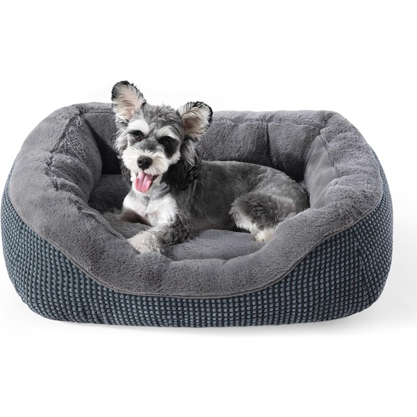 10 Prime Day Deals Every Pet Parent Should Know About 6 10 Prime Day Deals Every Pet Parent Should Know About